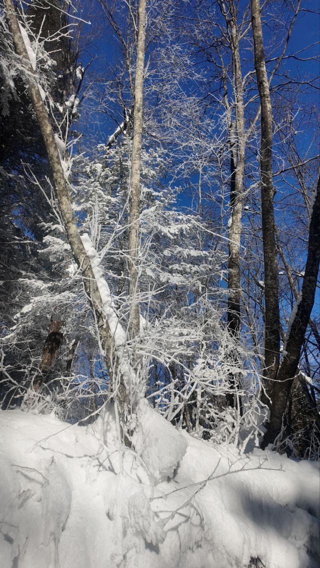 长白山西麓白溪全域漂流风景区旅行图片 4