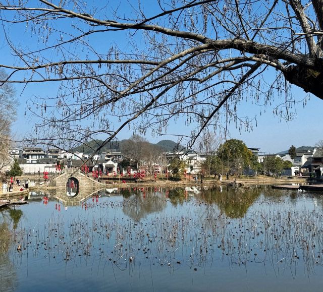 古徽州文化旅游区旅行图片 3