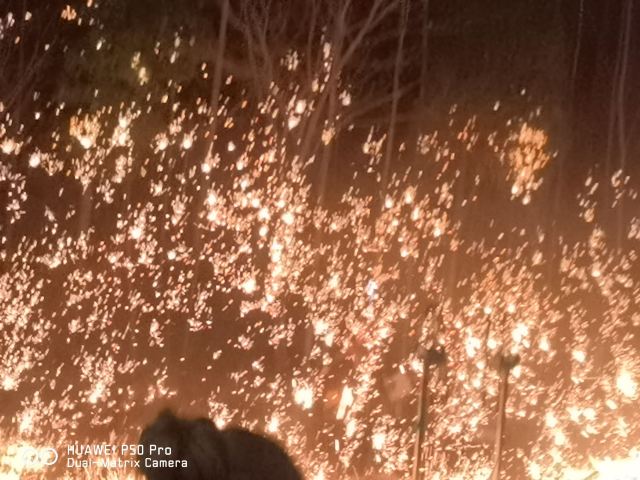 古徽州文化旅游区旅行图片 4