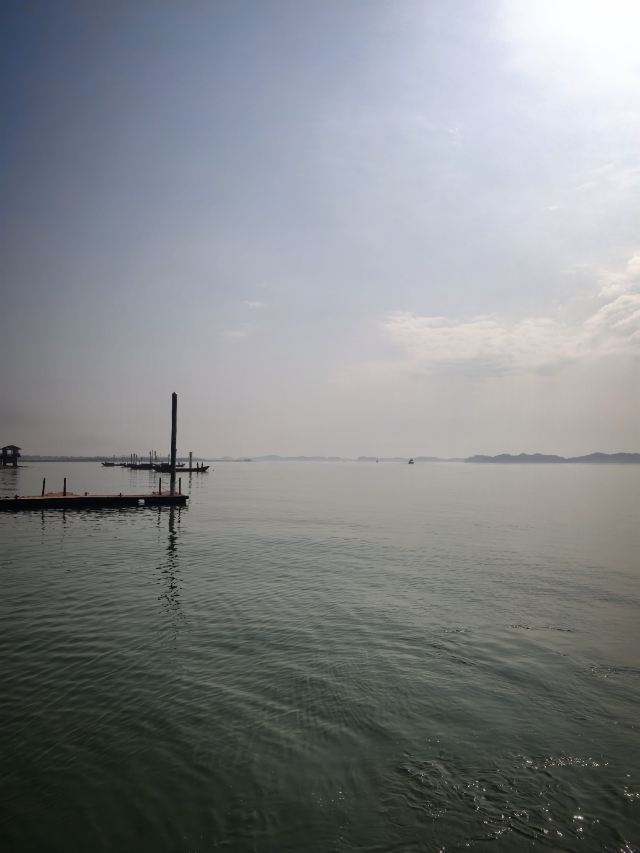 鄱阳湖国家湿地公园旅行图片 1