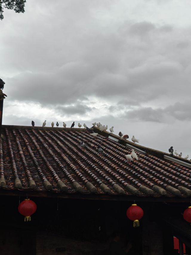 南风古灶旅行图片 6