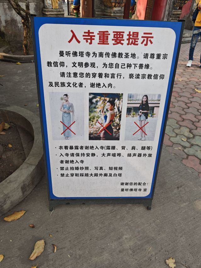 西双版纳傣族园旅行图片 4