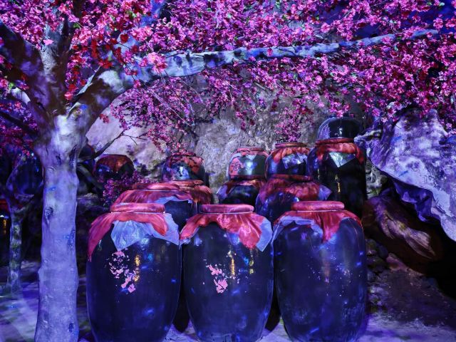 连州地下河旅行图片 6