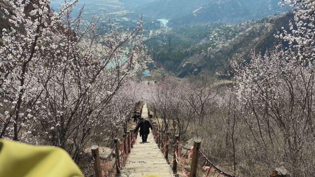 北京后花园(白虎涧)风景区旅行图片 2