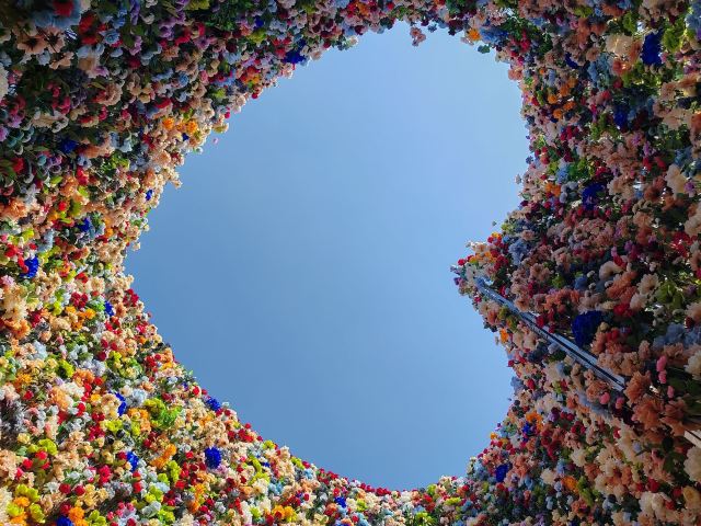 岭南大地百草园旅行图片 2