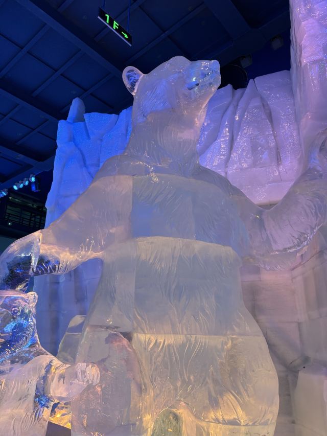 哈尔滨冰雪大世界文创旗舰店旅行图片 2