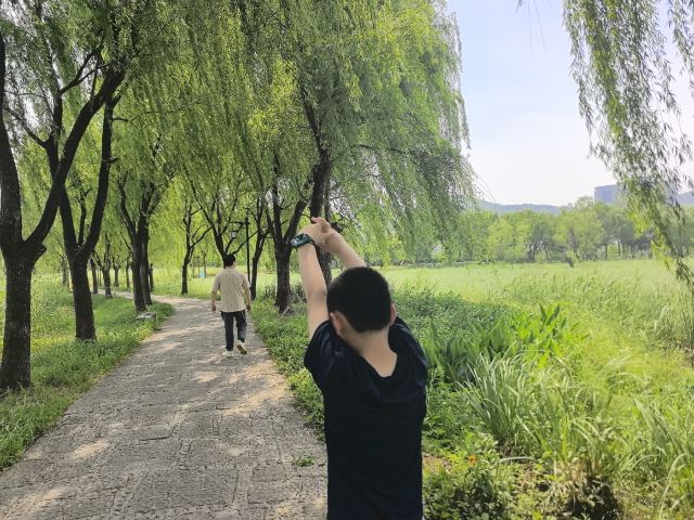 长兴太湖图影湿地文化园-观景塔旅行图片 1
