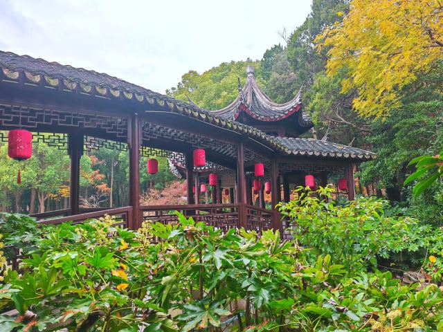 啬园旅行图片 2