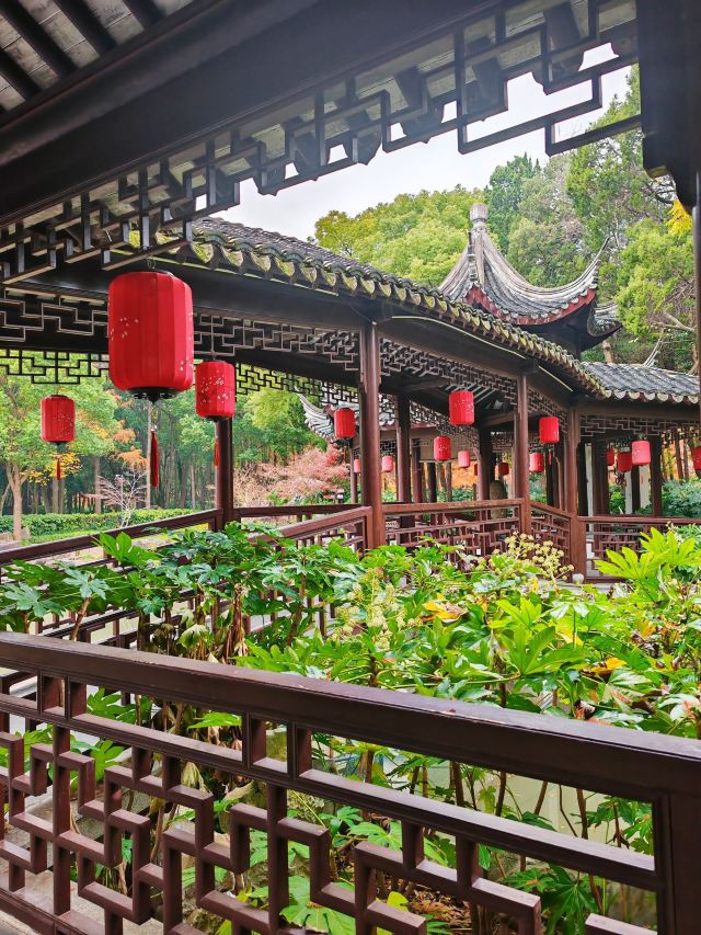 啬园旅行图片 1