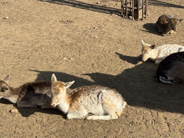 太原动物园旅行图片 4