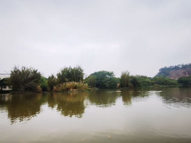 小鸟天堂旅行图片 8