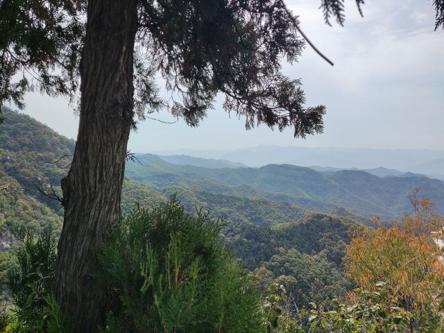 仙堂山萌宠园旅行图片 5