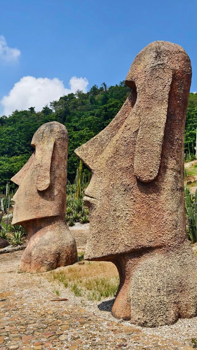 仙人掌王国旅行图片 2