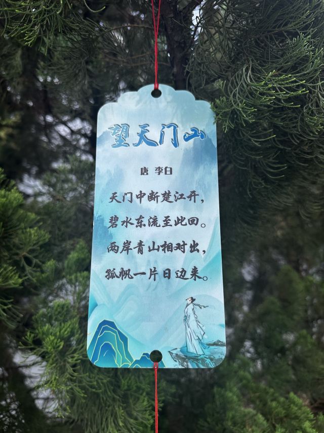 李白文化园旅行图片 5