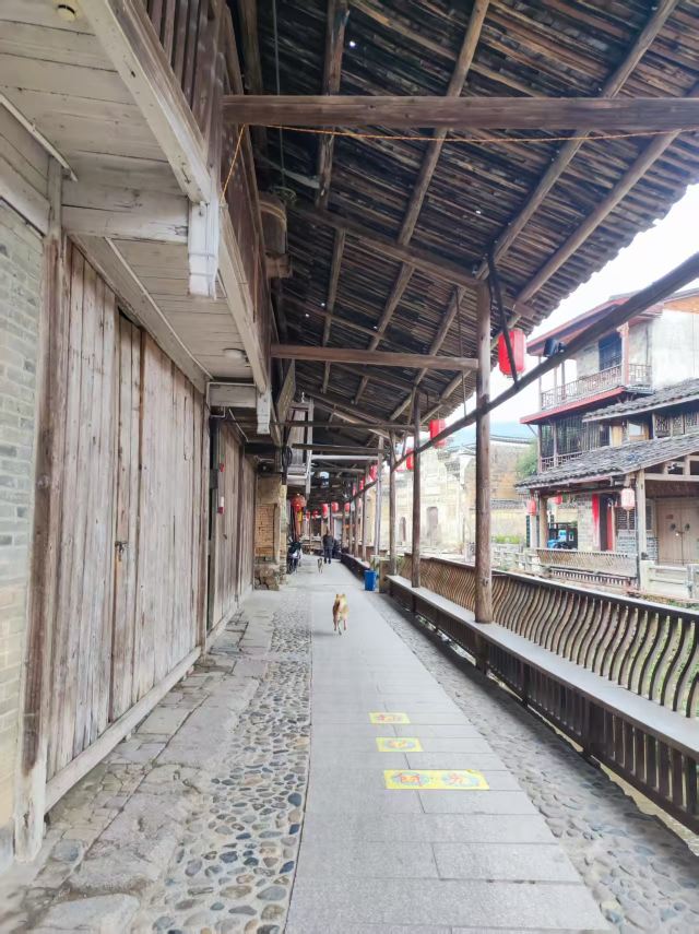 桂峰古村落景区旅行图片 4