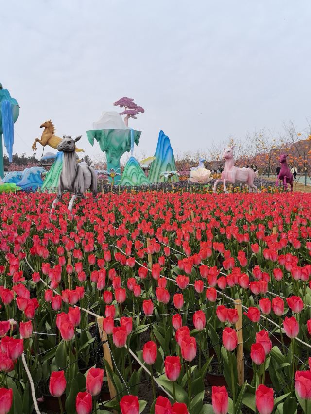 音乐·百花谷旅行图片 7