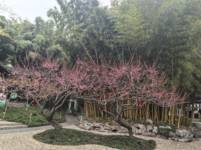 扬州大运河文化旅游度假区·大明寺旅行图片 9
