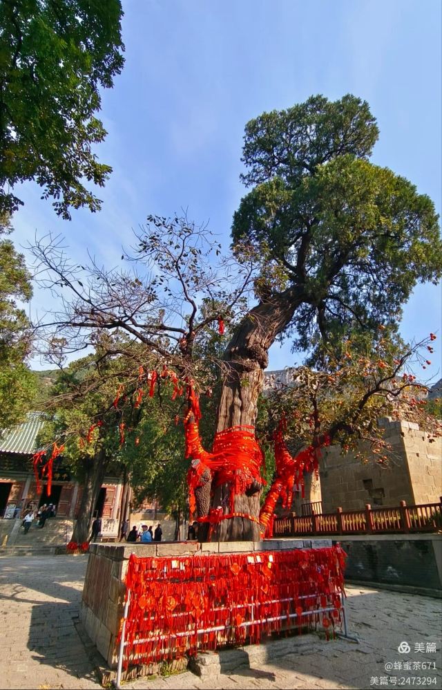 灵岩寺景区旅行图片 6