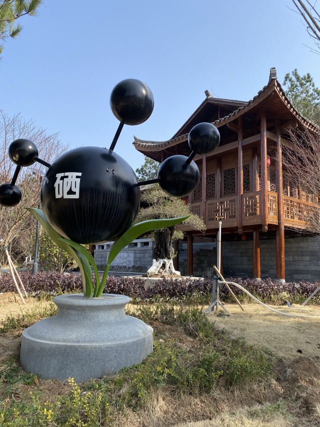 荆门园博园旅行图片 5