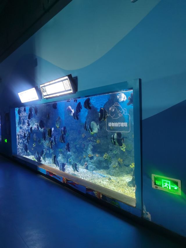 广汉海昌海洋探索馆旅行图片 1