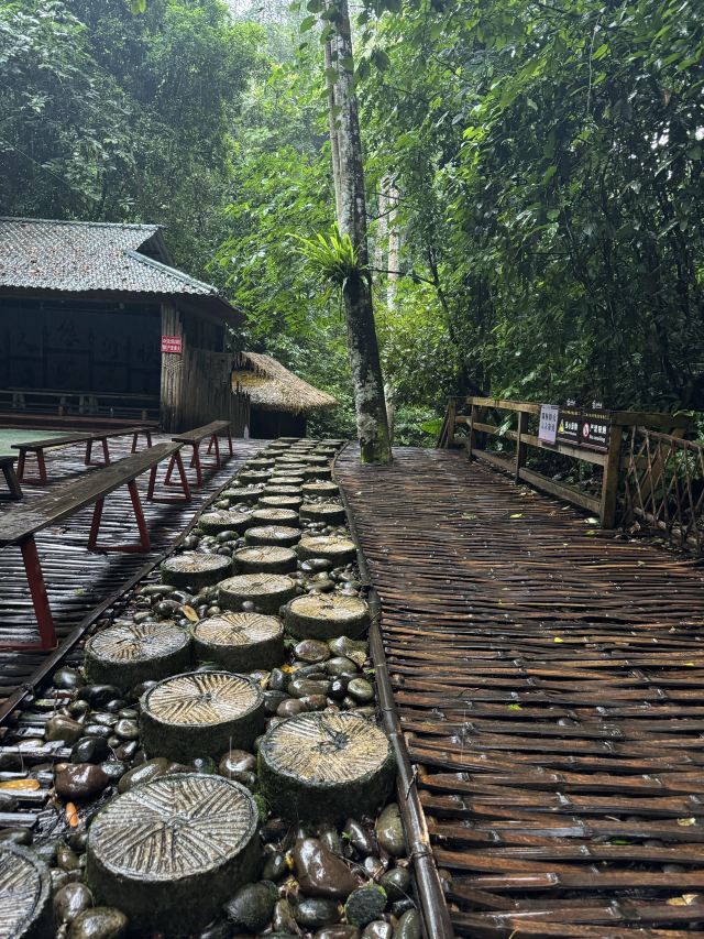 基诺山寨景区旅行图片 2