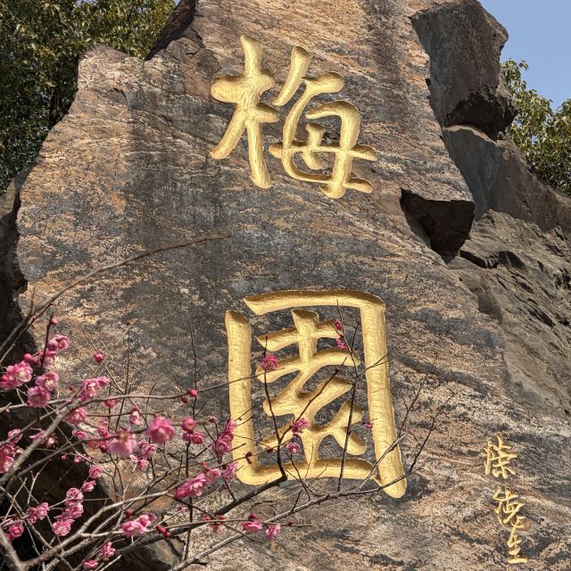 荣氏梅园旅行图片 1