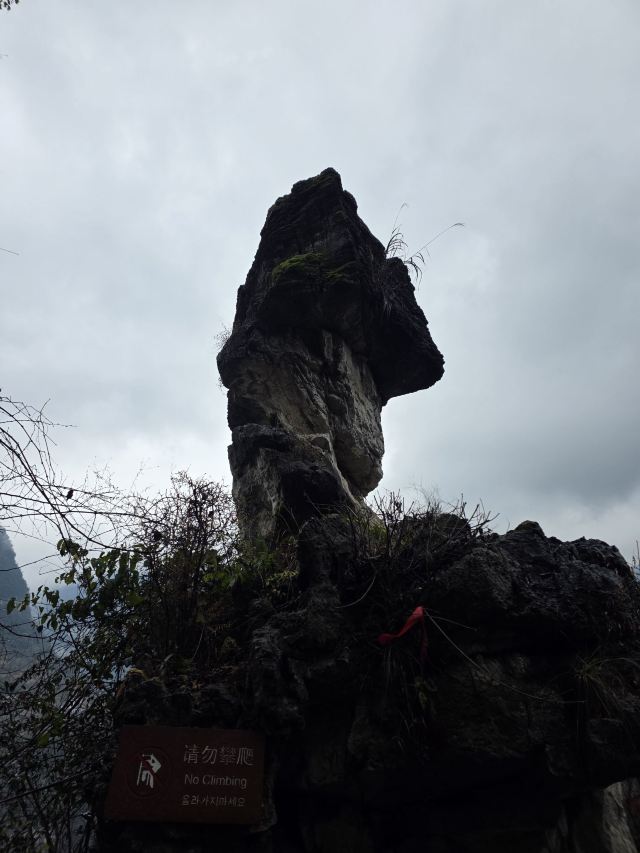 三峡人家风景区旅行图片 5