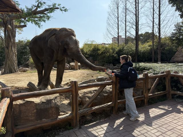 上海野生动物园旅行图片 9
