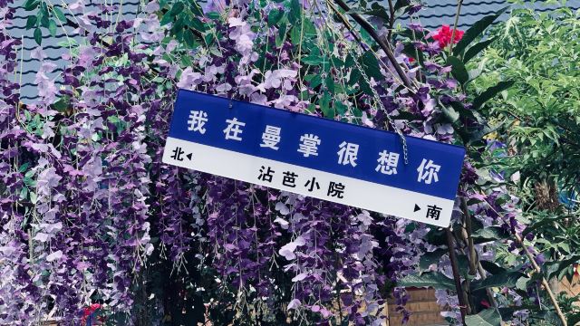 曼掌村旅行图片 1