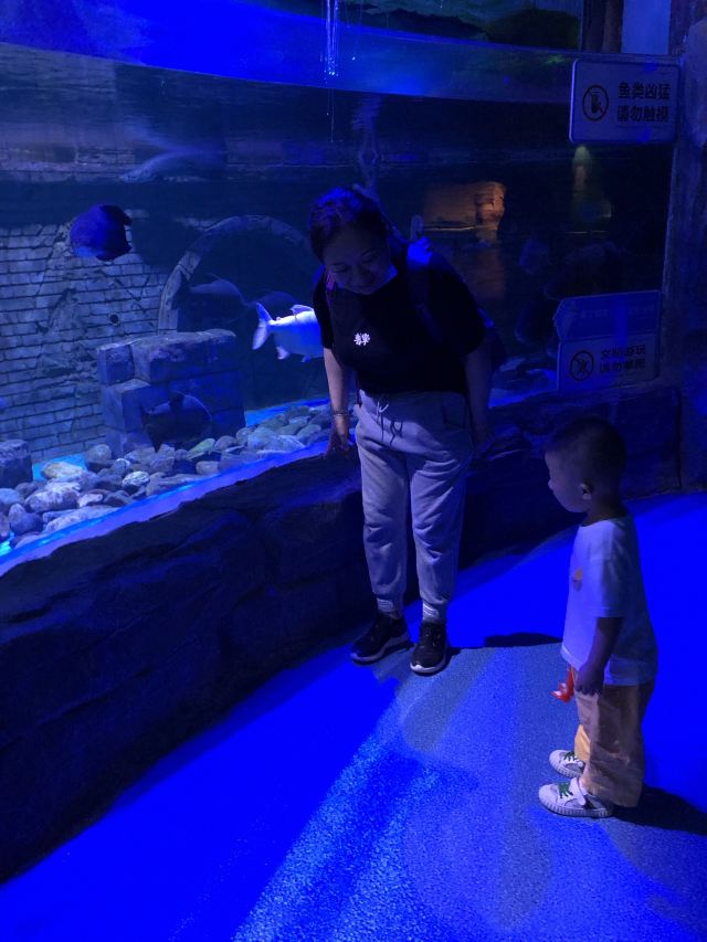 荆州海洋世界旅行图片 3
