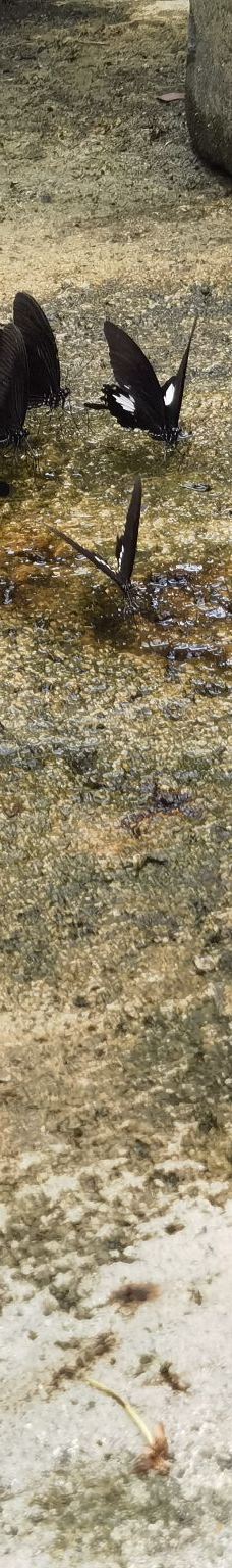 发现·弄岗景区-龙州-Cheryl妹的天空