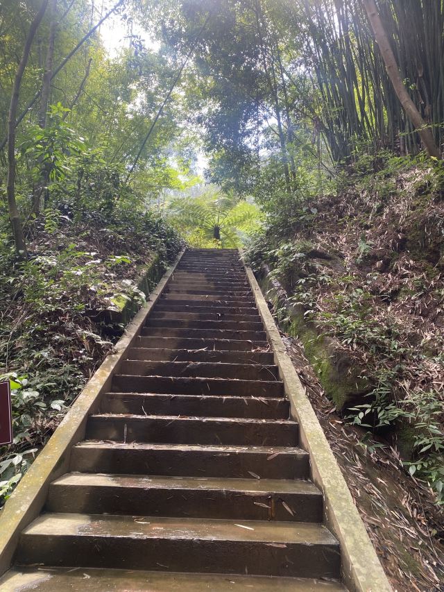 中岩寺景区旅行图片 2