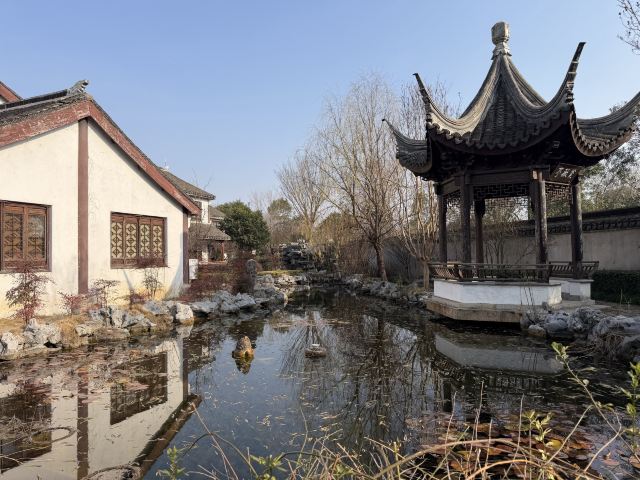 枫泾古镇旅行图片 2