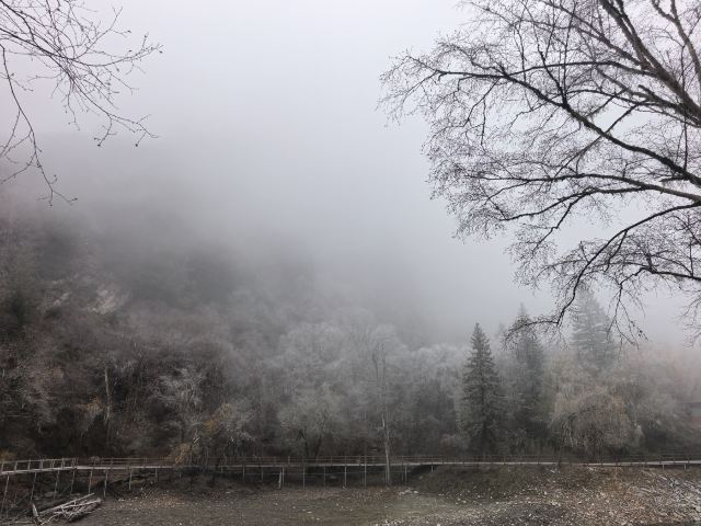 叠溪松坪沟景区旅行图片 9