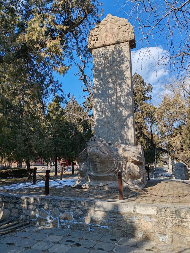 岱庙旅行图片 7