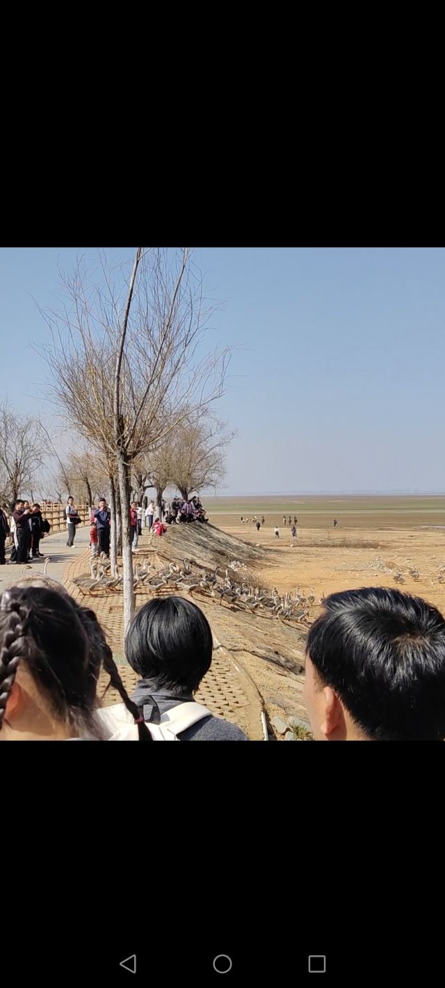 鄱阳湖国家湿地公园旅行图片 4