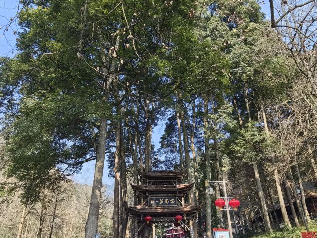 青城山景区旅行图片 3