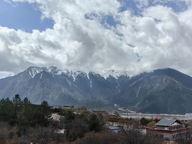 世界柏树王园林风景区旅行图片 4