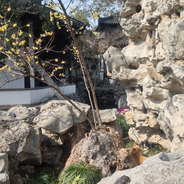 怡园旅行图片 2