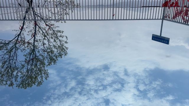 江西野狼谷景区旅行图片 9