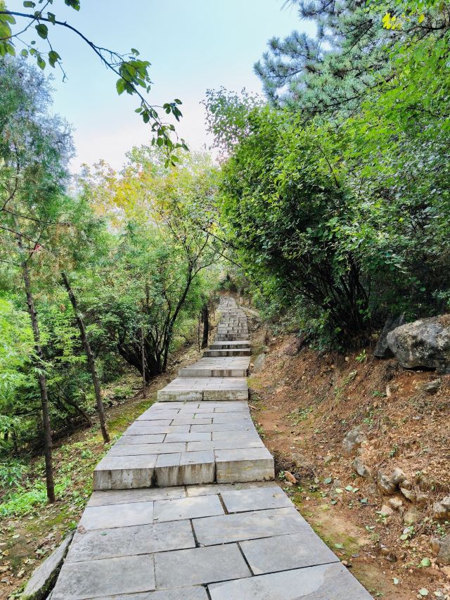 大寨森林公园旅行图片 9