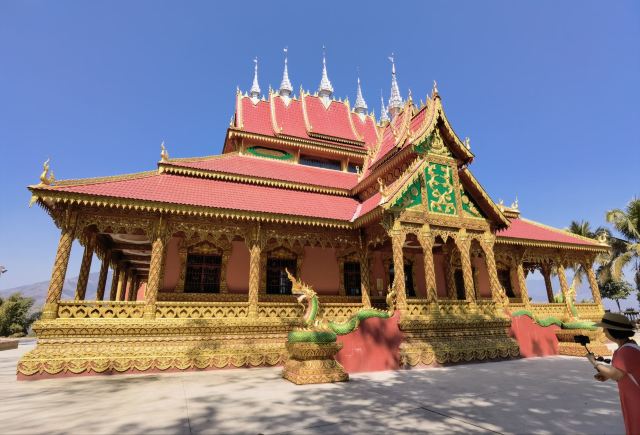 西双版纳独树成林景区旅行图片 1