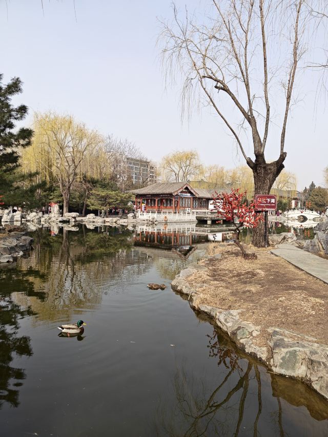 大观园旅行图片 6