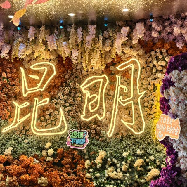 昆明海趣花都海洋世界旅行图片 5
