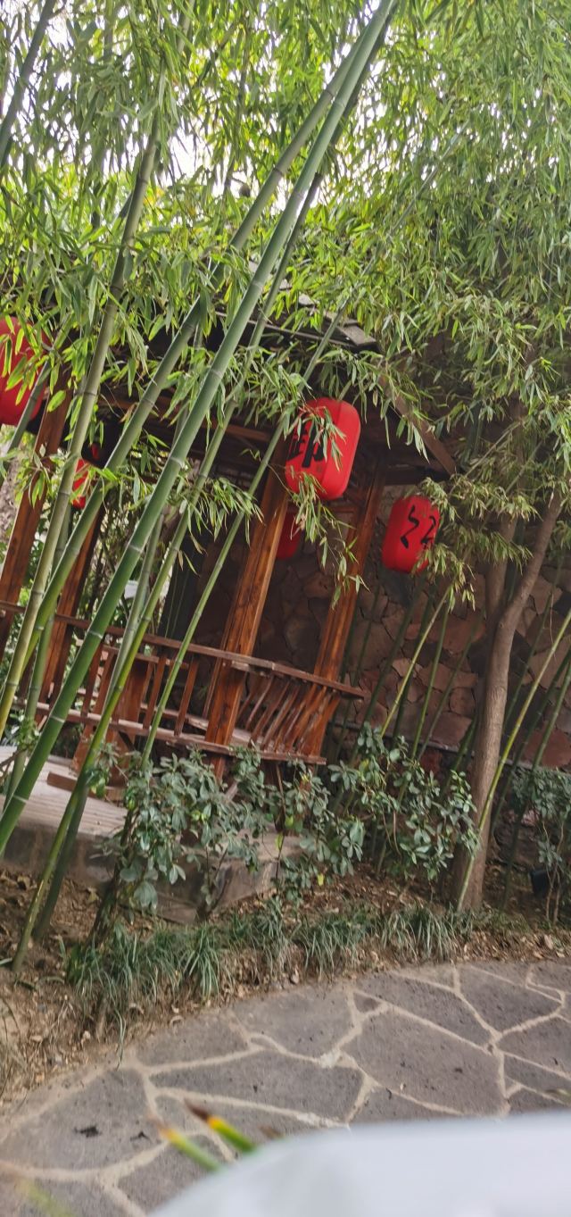 长安先导国际创新人才交流中心·药浴温泉旅行图片 1