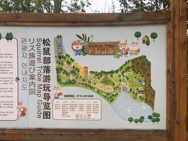 咸宁松鼠部落森林假日公园旅行图片 2