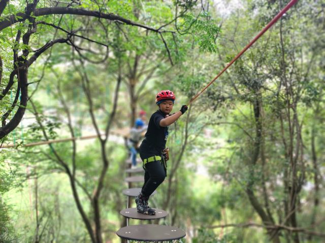 飞越丛林探险乐园旅行图片 1
