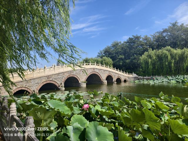 南戴河国际娱乐中心(暂停营业)旅行图片 1