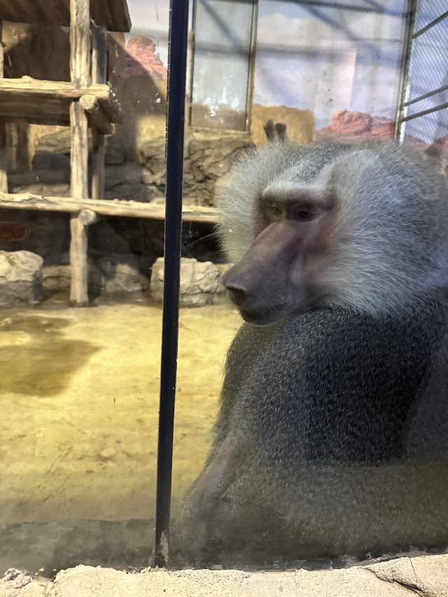 沈阳龙之梦动物科普乐园旅行图片 1