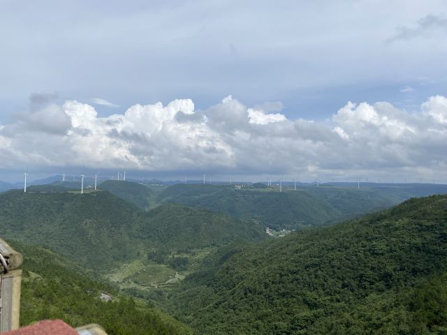 龙里油画大草原旅行图片 1